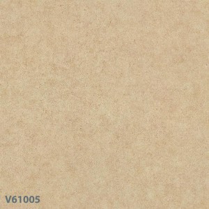 Gạch lát sàn Trường Thịnh MATT STONE V61005